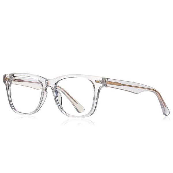 Tikool Rhea's Simplicity Glasses