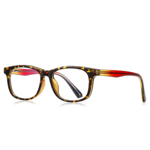 Tikool Hestia Hearth Glasses